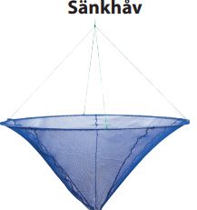 Sänkhåv
