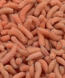 Pinkies - levande bete