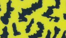 Tigerstripe gul 4x18cm