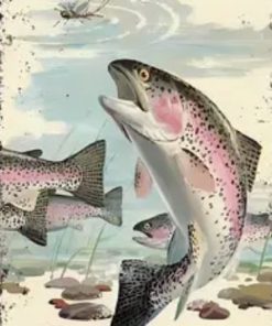 Skylt i vintage aluminiummetall 20cm x 30cm Hoppande Regnbåge