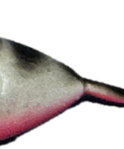 Eskilstuna Mormyska Glow