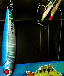 Shiner 30g double hook rig kit