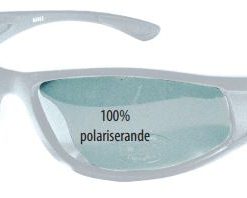 Polaroid solglasögon