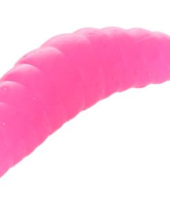 M-AREA MAGGOT